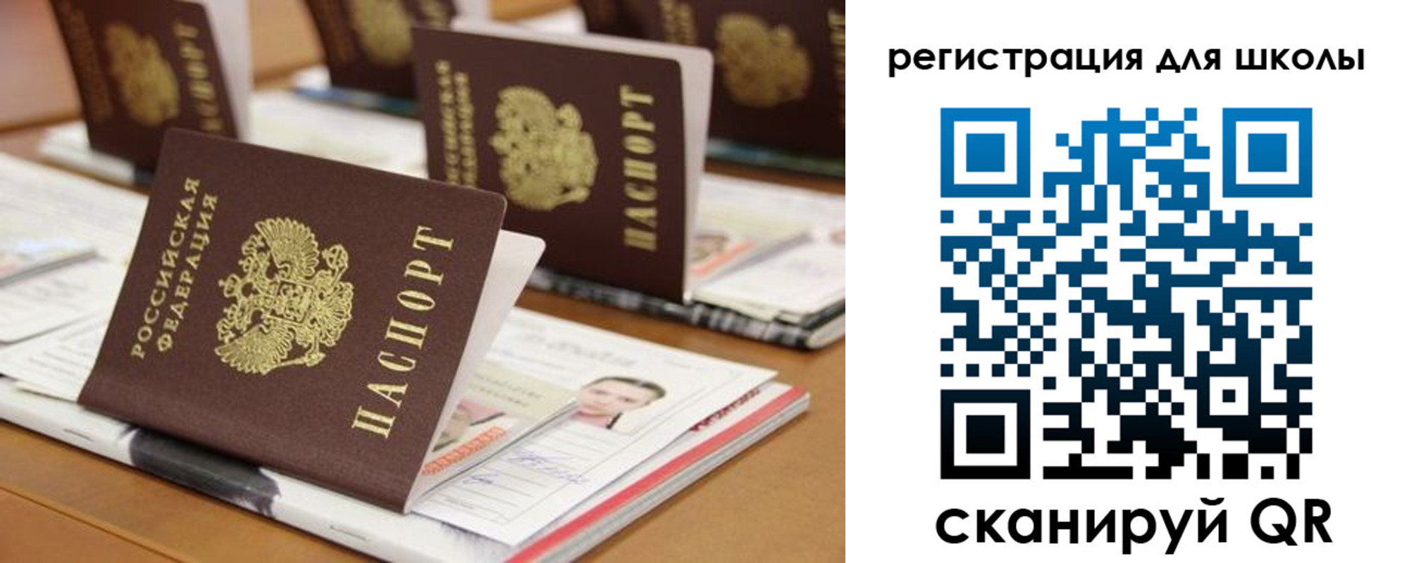 прописка законно в Светлогорске